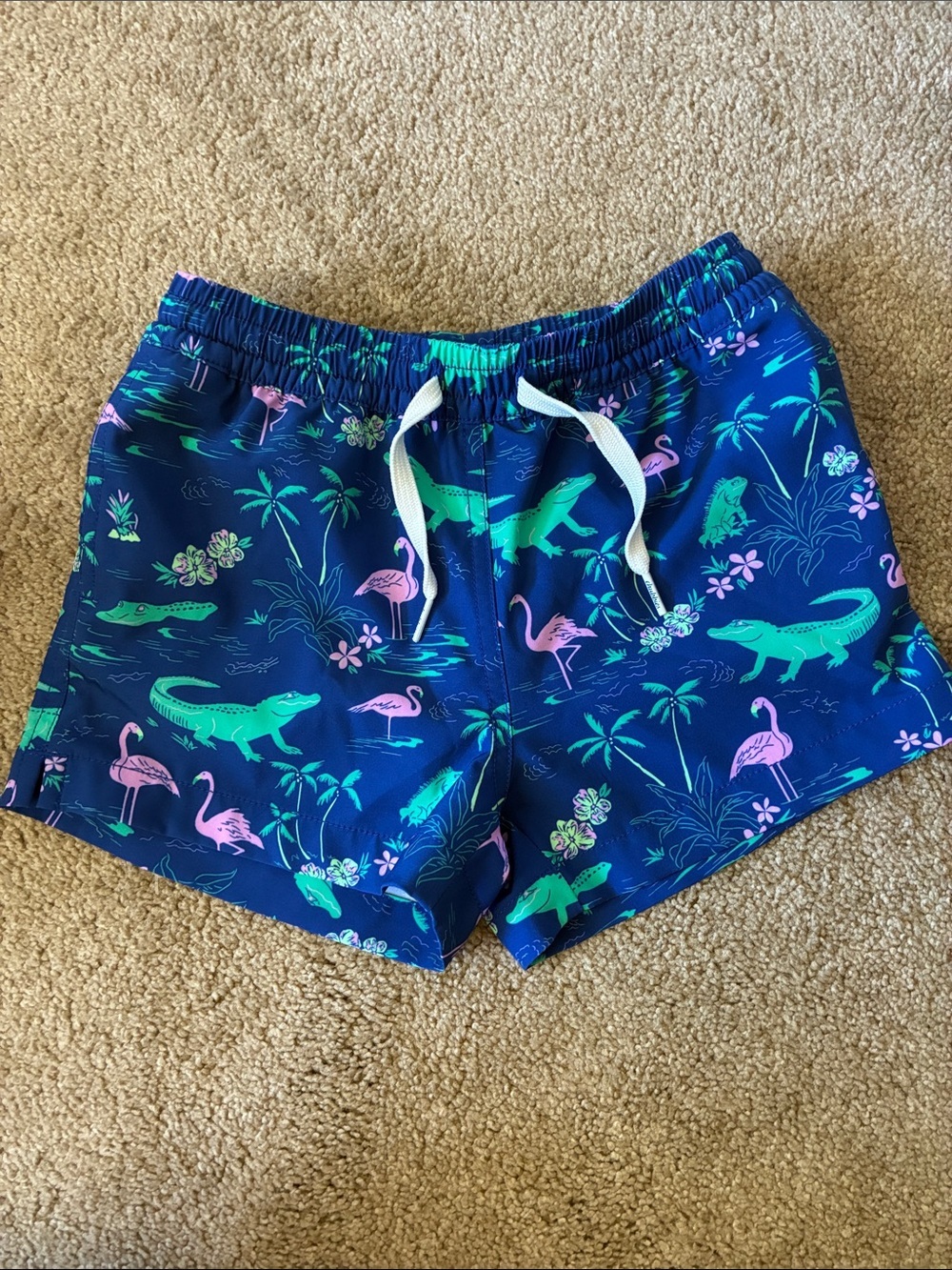 Chubbies The Swamp & Circumstances Flamingo Alligator Swim Trunks - Size XS 6/7